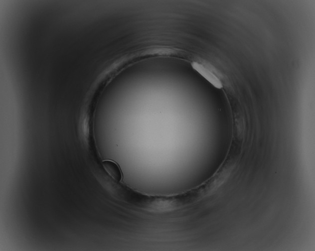 X0000100410350200806061346