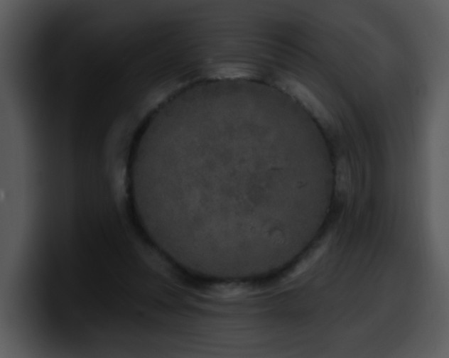 X0000100410351200806061346