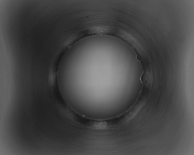 X0000100410355200806061346