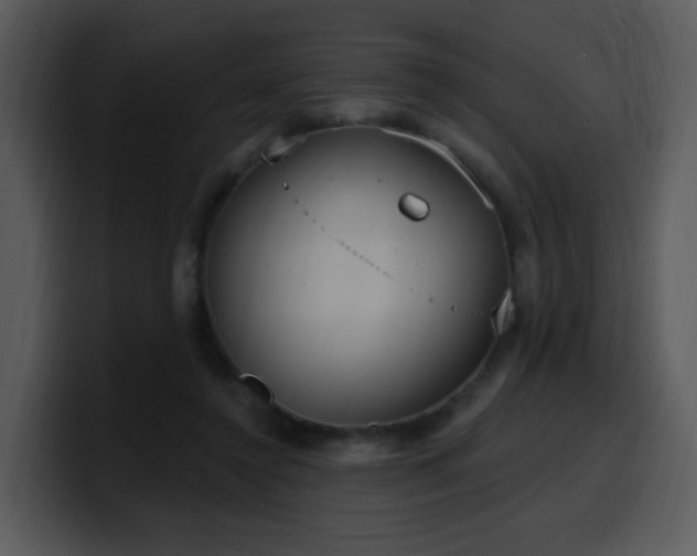 X0000100410356200806061346