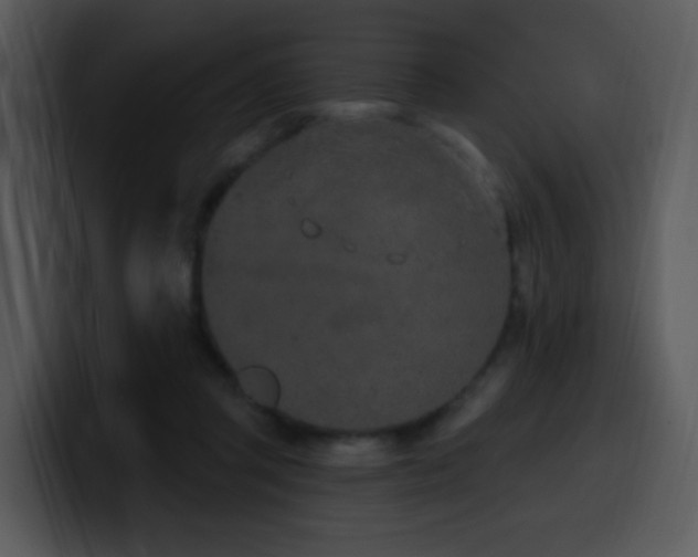 X0000100410357200806061346