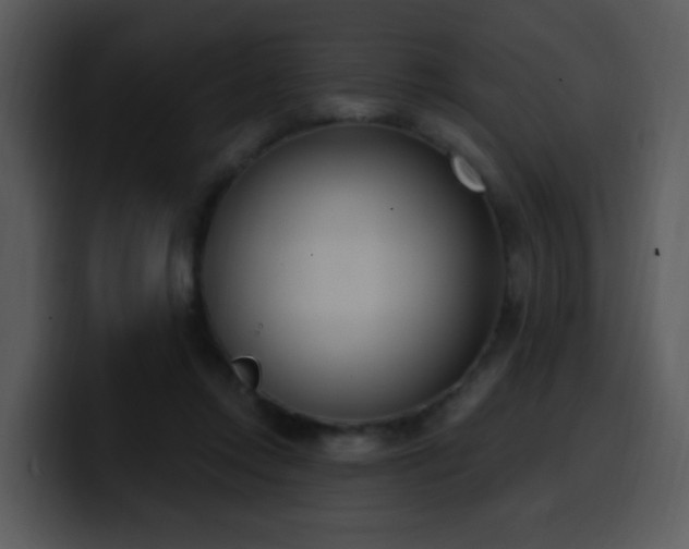 X0000100410358200806061346