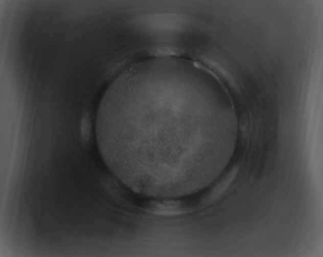 X0000100410359200806061346