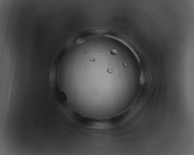 X0000100410360200806061346