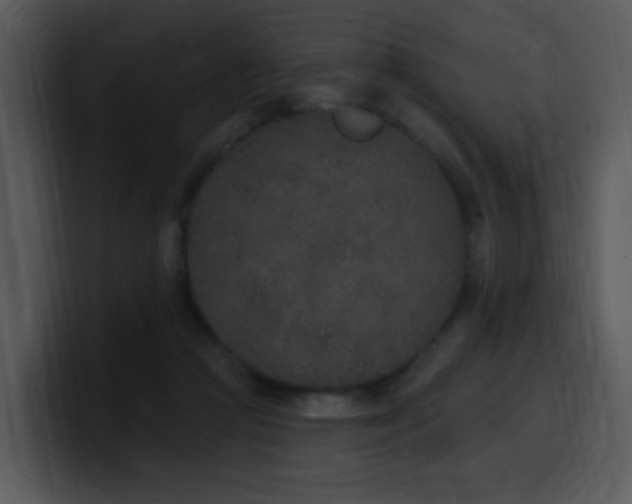 X0000100410361200806061346