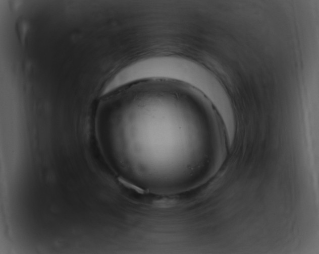 X0000100410362200806061346