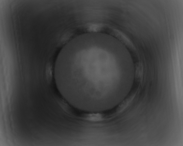 X0000100410363200806061346