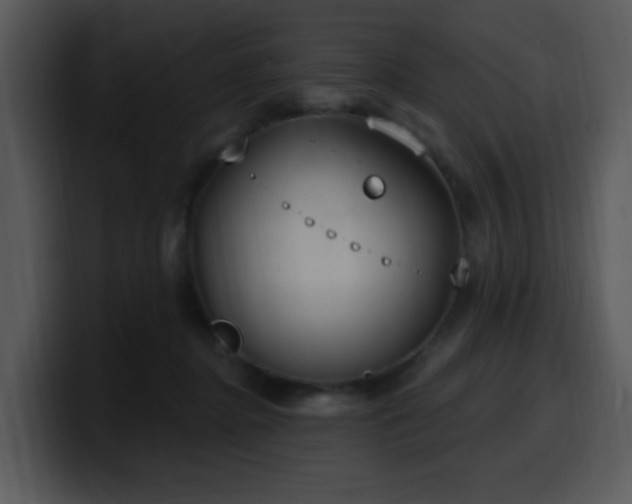 X0000100410364200806061346