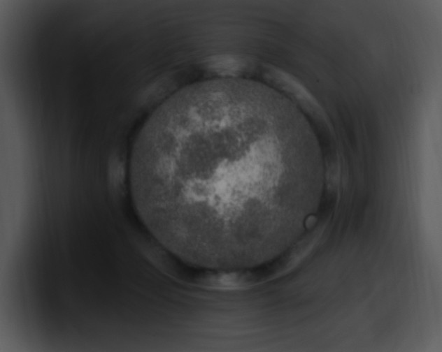 X0000100410365200806061346