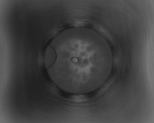 X0000100410367200806061346