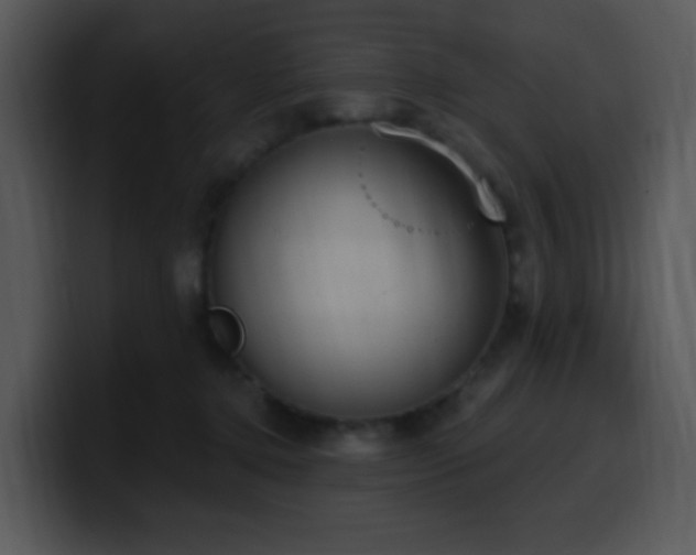 X0000100410368200806061346