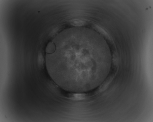 X0000100410371200806061347