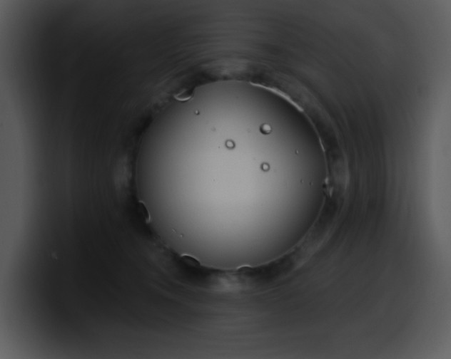 X0000100410372200806061347