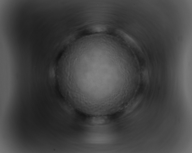 X0000100410373200806061347