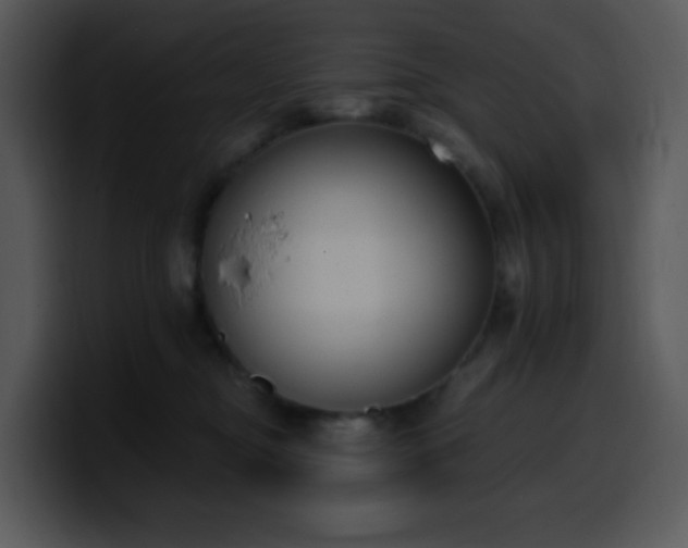 X0000100410374200806061347