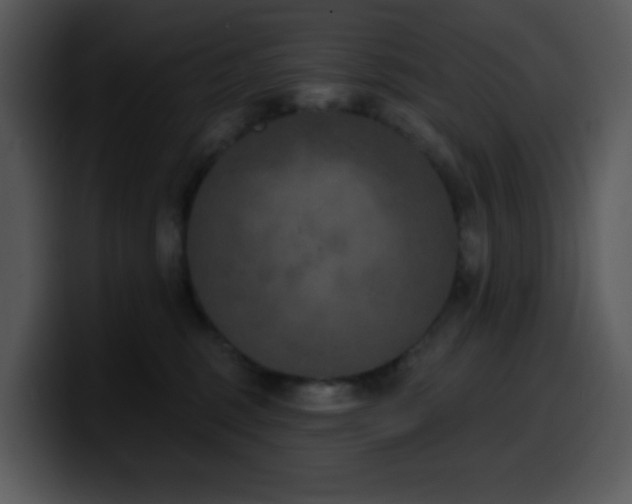 X0000100410375200806061347