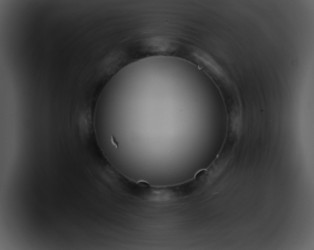 X0000100410376200806061347