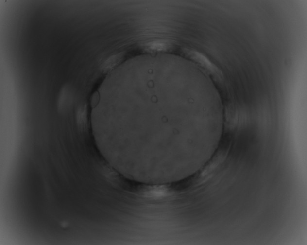 X0000100410377200806061347