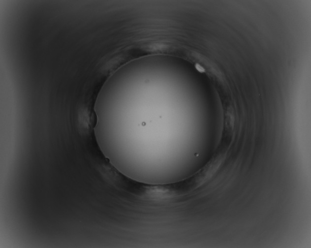 X0000100410380200806061347