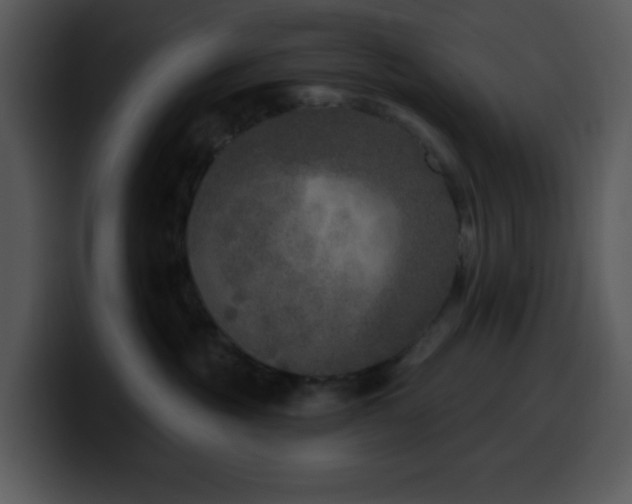 X0000100410381200806061347