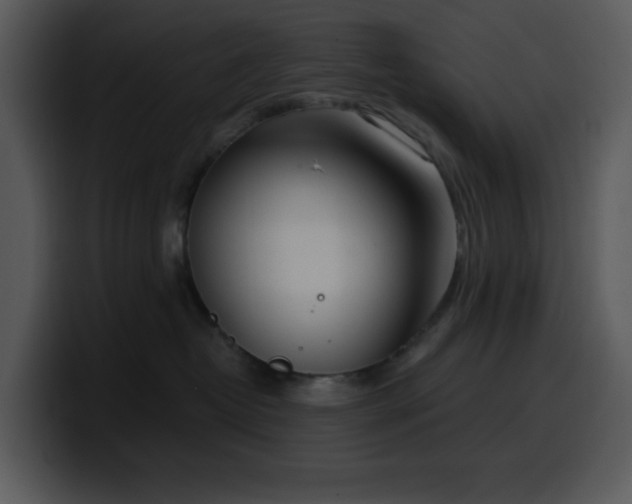 X0000100410382200806061347