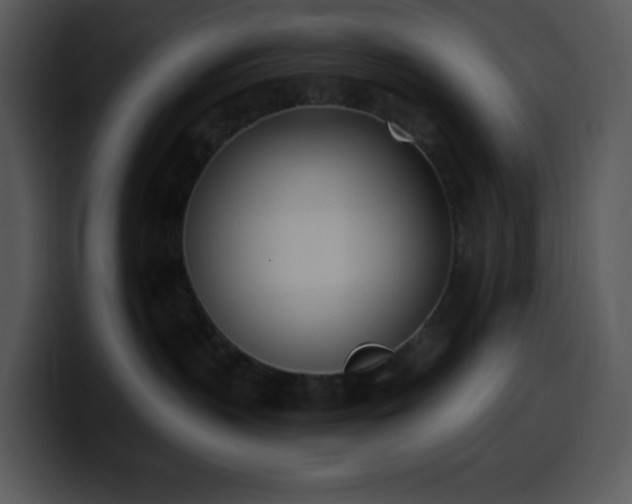 X0000100410383200806061347