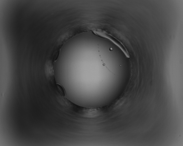 X0000100410384200806061347