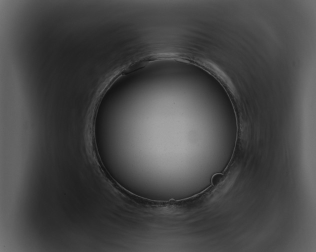 X0000100410385200806061346