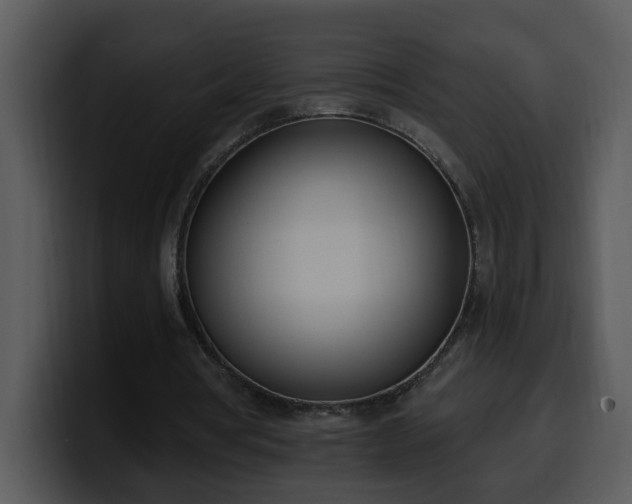 X0000100410386200806061346