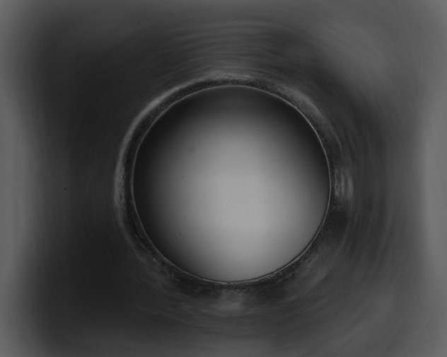 X0000100410388200806061346