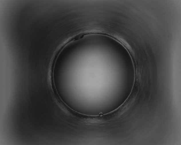 X0000100410389200806061346