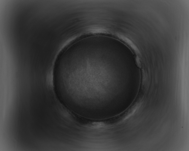 X0000100410391200806061346