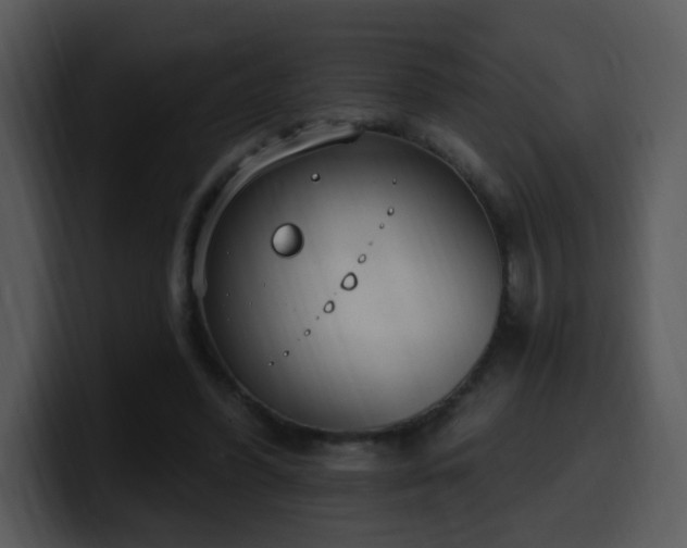 X0000100410396200806061346