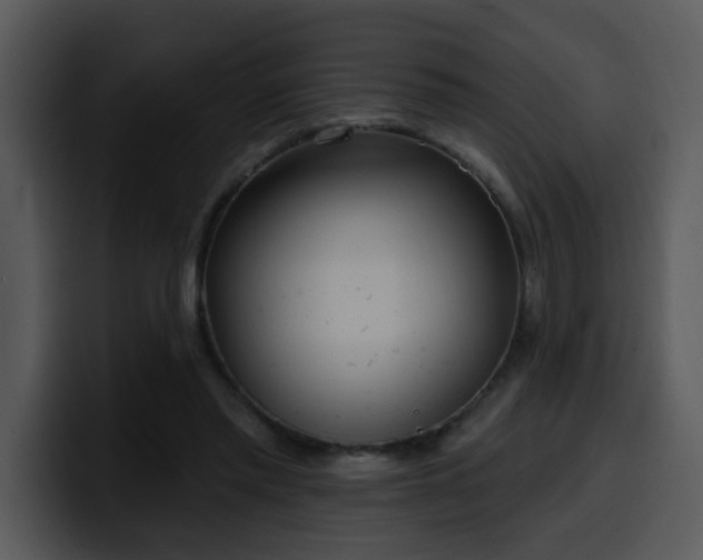 X0000100410397200806061346