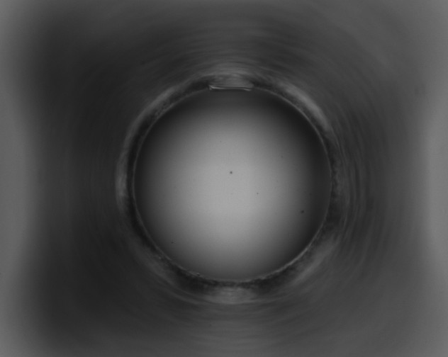 X0000100410399200806061346