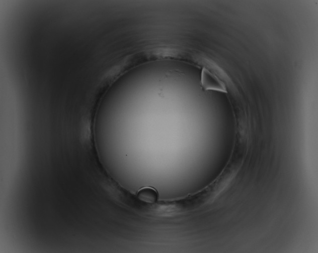 X0000100410401200806061346