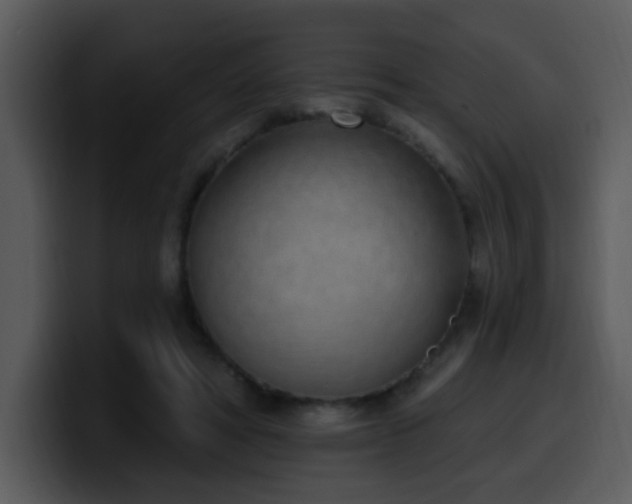 X0000100410402200806061346