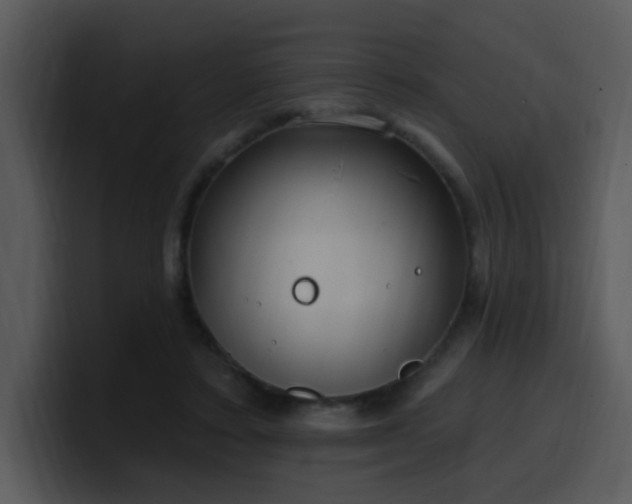 X0000100410403200806061346