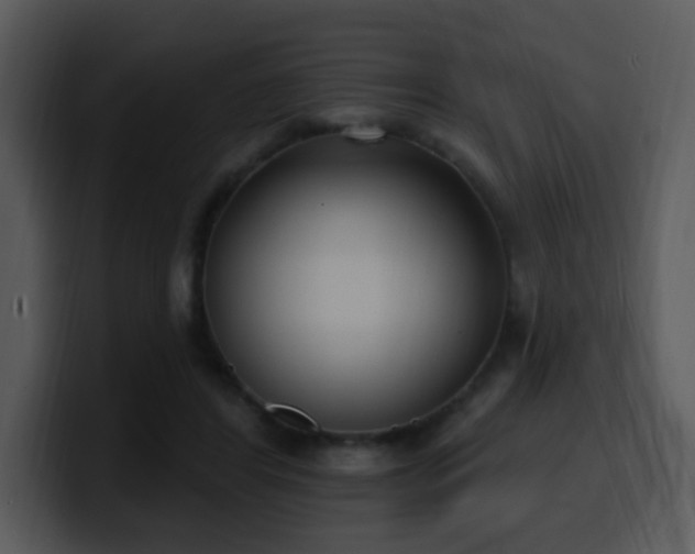 X0000100410404200806061346