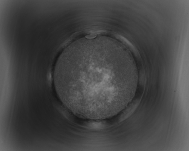 X0000100410405200806061346