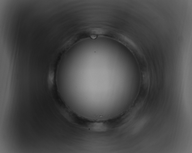 X0000100410406200806061346