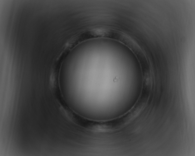 X0000100410408200806061346