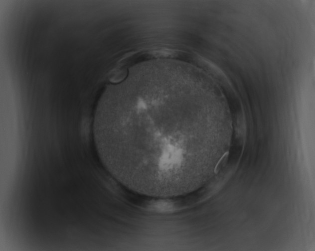 X0000100410409200806061346