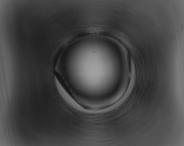 X0000100410411200806061346