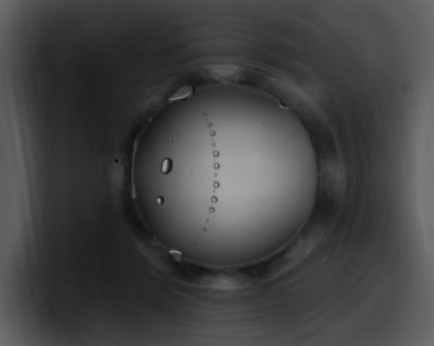 X0000100410412200806061346