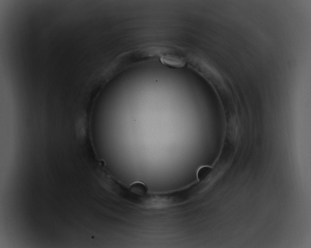 X0000100410413200806061346