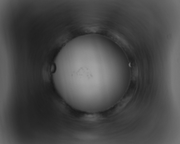 X0000100410414200806061346