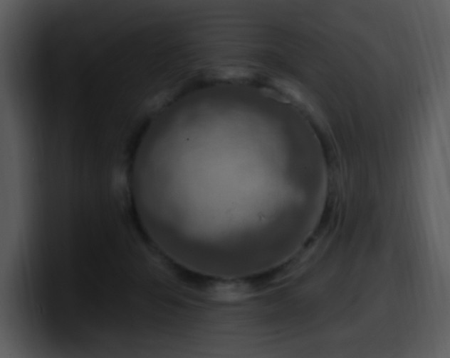 X0000100410415200806061346