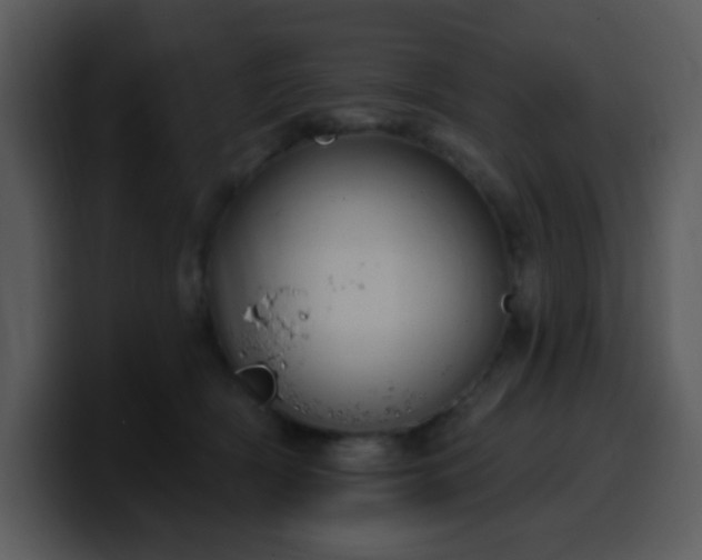 X0000100410418200806061346