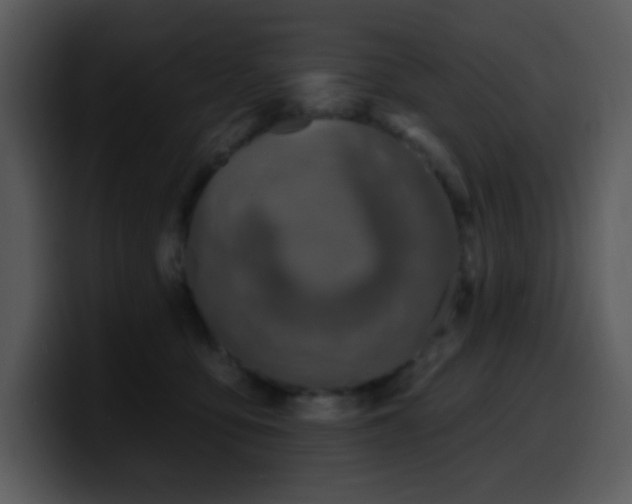 X0000100410419200806061346